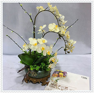 綠盒子高端塑料花盆
