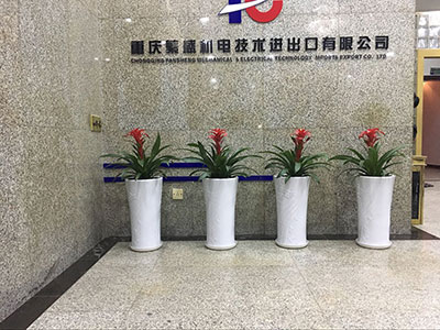 重慶繁盛機(jī)電進(jìn)出口植物租擺案例