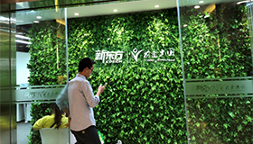 綠盒子園藝為新東方教育集團(tuán)打造綠色職場(chǎng)