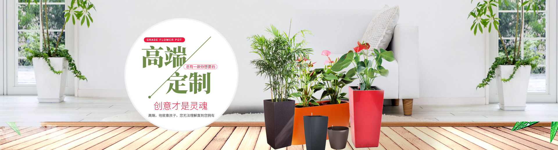 綠盒子創(chuàng)意盆栽