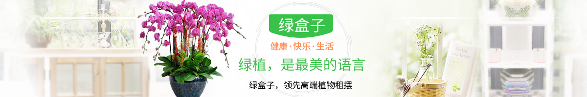綠盒子植物租賃