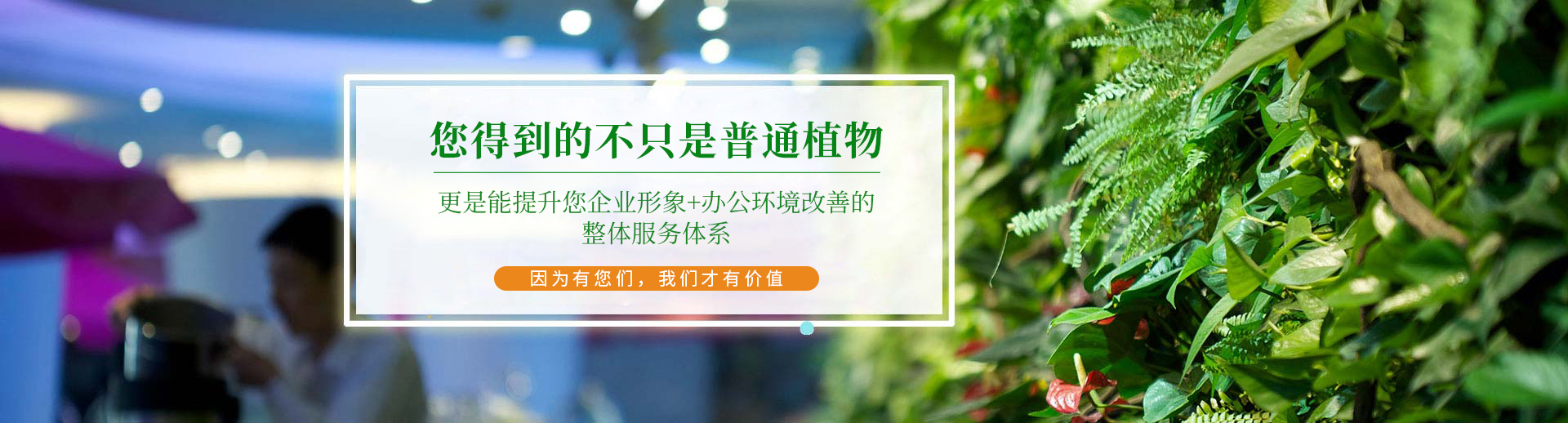 聯(lián)系綠盒子