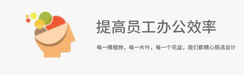 植物租賃-提高員工效率