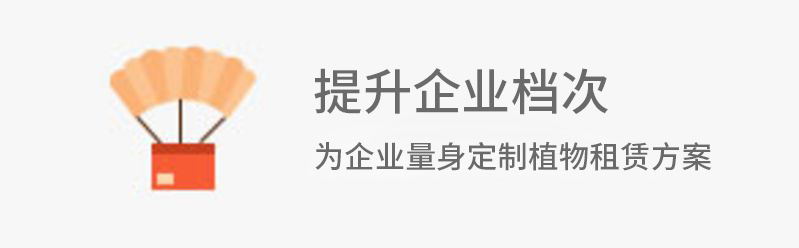 植物租賃-提升企業(yè)檔次