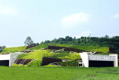 屋頂綠化后