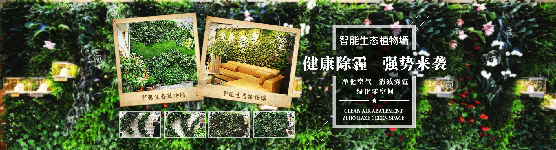 綠盒子植物墻