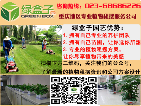花卉植物養(yǎng)護(hù)主要從三個方面入手