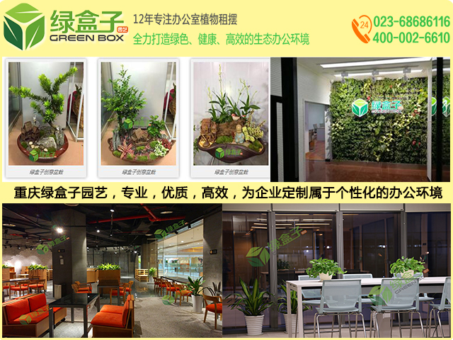 渝中植物租賃租擺選擇哪家好