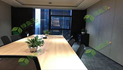 解放碑公司植物租賃植物推薦