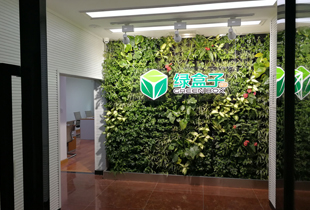 植物租用怎么收費，重慶植物租賃公司選哪家好