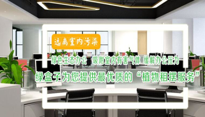 照母山植物租擺選擇哪家好,為什么選擇它好