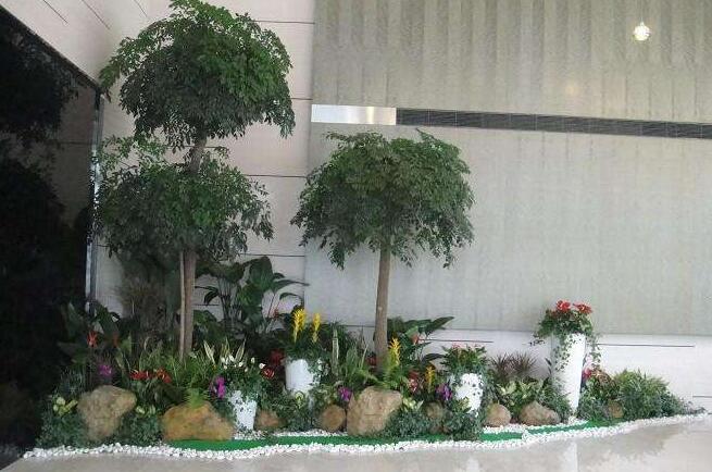 工廠植物租賃.jpg