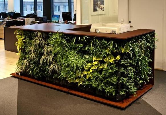 辦公樓植物.jpg
