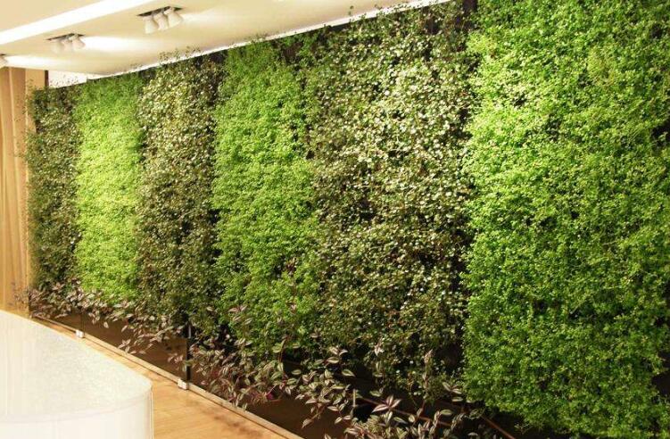 綠植墻.jpg