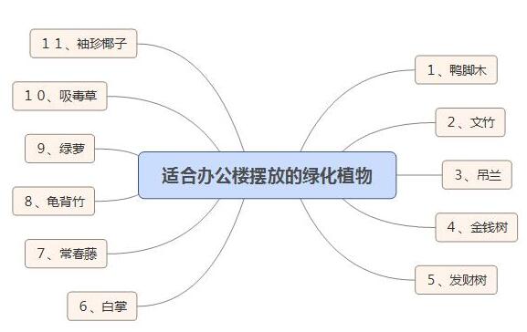 適合辦公樓擺放的綠化植物有哪些？.jpg