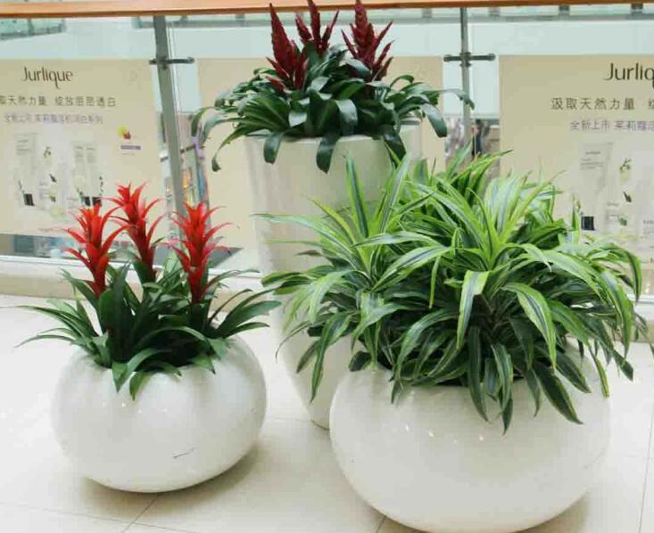 辦公室綠值租賃.jpg